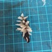 ニカワツノタケ