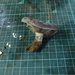 ルリハツタケ