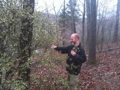 Elaeagnus multiflora