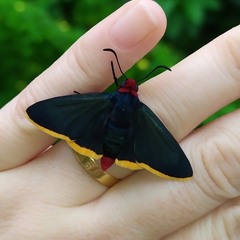 Pyrrhopyge pelota
