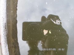 Dichrorampha flavidorsana