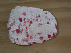 Homotrema rubrum
