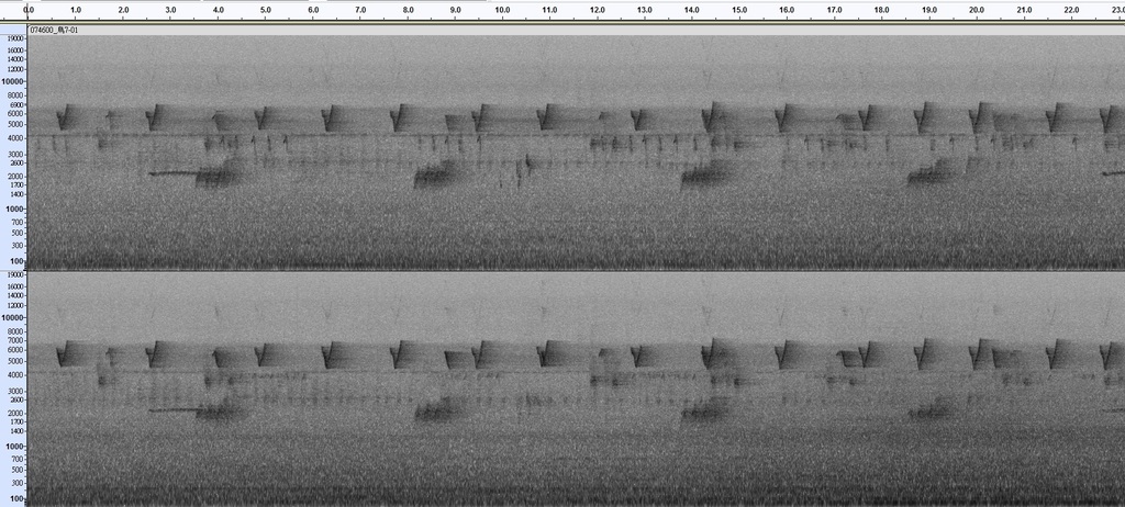 聲音轉頻譜圖軟體 Audacity