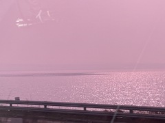 Sibirionetta formosa