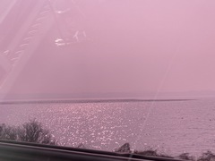 Sibirionetta formosa