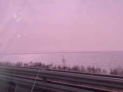 Sibirionetta formosa