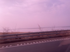 Sibirionetta formosa