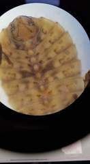 Onychogomphus uncatus