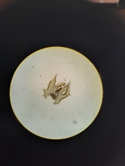 Lepidolaena clavigera