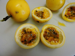 Passiflora edulis flavicarpa