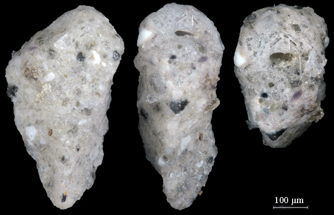 Gaudryina