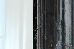 Sceliphron caementarium