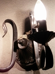 Homopholis walbergii