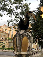 Buceros bicornis