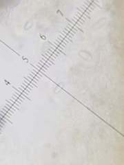 Trapeliopsis granulosa