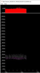 Falsistrellus tasmaniensis