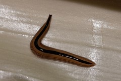 Australopacifica regina