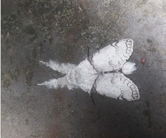 Calliteara diplozona