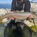 Lahontan Cutthroat Trout - Photo (c) prickly_sculpin, some rights reserved (CC BY-NC), uploaded by prickly_sculpin
