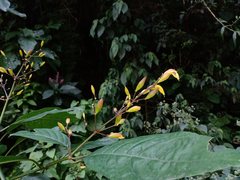 Justicia veracruzana