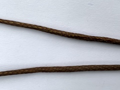Carex makinoensis