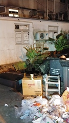 Sus scrofa moupinensis