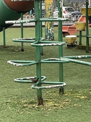 Turdus ignobilis