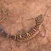 Gecko Leopardo Asiático - Photo (c) Graham Armstrong, algunos derechos reservados (CC BY-NC), uploaded by Graham Armstrong