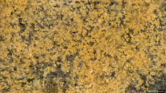 Chromelosporium