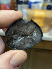 Pseudoplectania vogesiaca