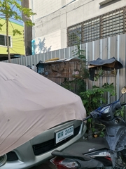 Streptopelia chinensis tigrina