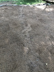 Python natalensis