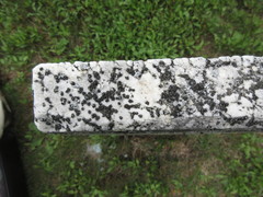 Leimonis erratica