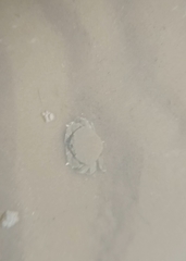 Matuta