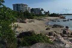 Eugenia reinwardtiana