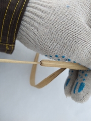 Phragmites australis