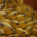 Bananeiras e Afins - Photo (c) Charles Roffey, alguns direitos reservados (CC BY-NC-SA)