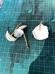 Strobilurus ohshimae