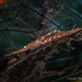 Serrate Arrow Shrimp - Photo (c) Pauline Walsh Jacobson, some rights reserved (CC BY-NC)