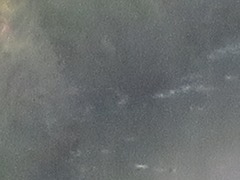 Lymnocryptes minimus