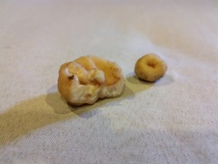 Balsamia oregonensis