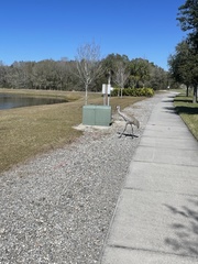Grus canadensis image