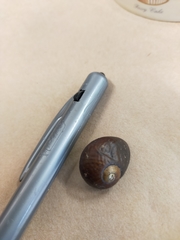 Wainuia