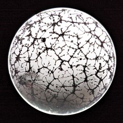 Cribraria ferruginea