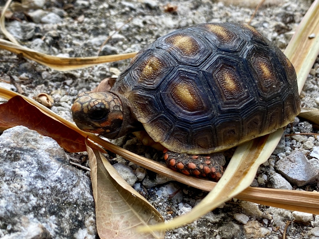 Photo by David Jeffrey Ringer