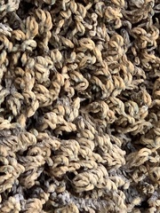 Petrophytum caespitosum