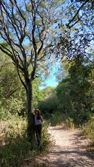 Libidibia paraguariensis