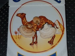 Truncospora mexicana