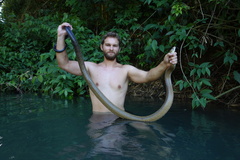 Drymarchon melanurus melanurus