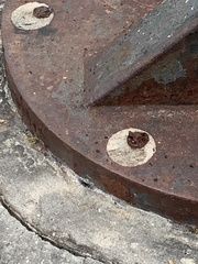 Aratus pisonii